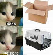 Image result for Hehe Not Hehe Meme