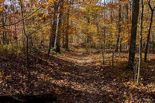 Image result for Old Stone Fort Archaeological Site