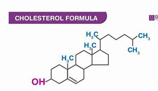 Image result for Cholesterol Molecule Diagram