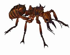 Image result for Big Ant Image