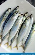 Image result for Galunggong Fish