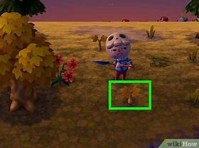 Image result for Animal Crossing New Leaf Fruit