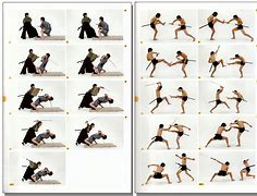 Image result for Ninja Sword Fight