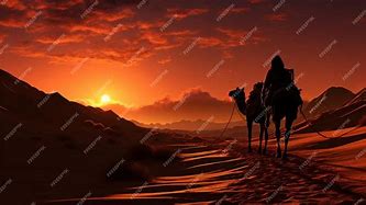 Image result for Camels Desert Image Free