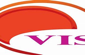 Image result for Vis Entertainment Logo