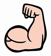 Image result for Drawings of Biceps