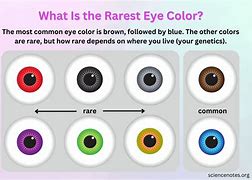 Image result for Eye Color