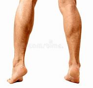 Image result for Calves Basketball