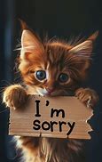 Image result for Sorry LOL