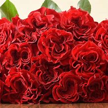 Image result for red heart flowers