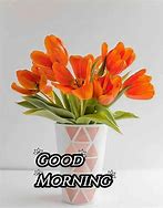 Image result for Good Morning Orange Flowers