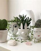 Image result for Unique Indoor Plant Pots