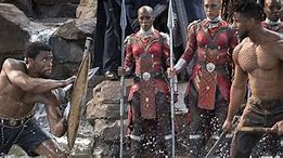 Image result for Black Panther Fight