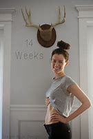 Image result for 14 Weeks and 4 Days Pregnant