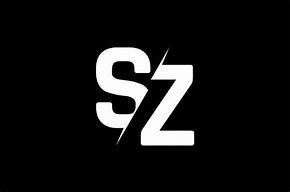 Image result for Sz Travel Logo