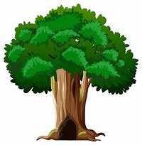 Image result for Pokok Cartoon