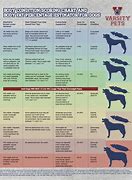 Image result for Dog BCS Chart