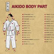 Image result for Image of Aikido