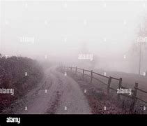 Image result for Foggy Path Landscape