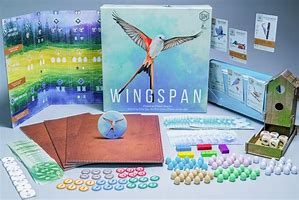 Image result for Wingspan Surfing