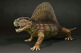 Image result for Dimorphodon Dinosaur