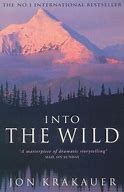 Image result for Into the Wild Guy