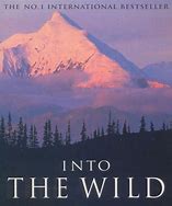 Image result for Into the Wild Naira