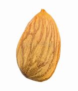 Image result for 1 Nut