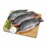 Image result for King Fish Tilapia