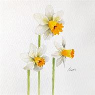 Image result for Korean Flower Drawing