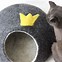 Image result for Cute Cat Crown Bed