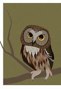 Image result for Noethern Saw Shet Owl