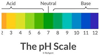 Image result for pH-meter Acid and Base