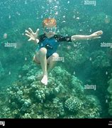 Image result for Hawaiian Snorkeling