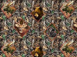 Image result for Realtree Orange Camo