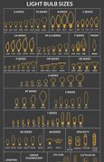 Image result for Bulb Size Chart