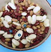 Image result for Wheat Beans