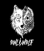 Image result for Wolf and Owl