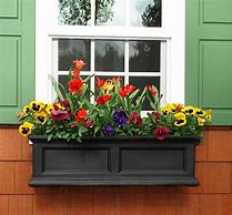 Image result for French Window Flower Boxes