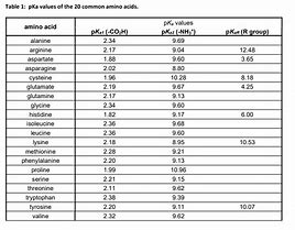 Image result for Amino Acid pKa Table