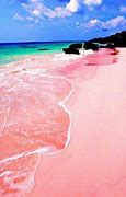 Image result for Pink Sand Beaches in Bahamas