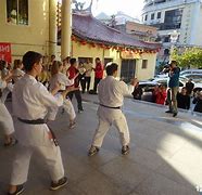 Image result for China Karate