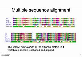 Image result for Sequence Alignment Diagram