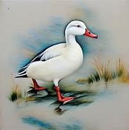 Image result for baby white ducks names