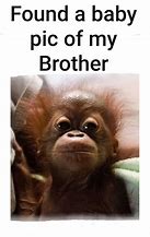 Image result for Me Too Brother Meme