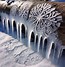 Image result for Alaska Icicle