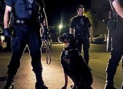 Image result for Sosia Private Security Officer