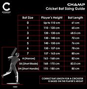 Image result for Junior Bat Size Chart