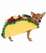 Image result for Taco Cat Costume