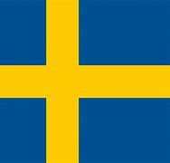 Image result for Svensk Flag